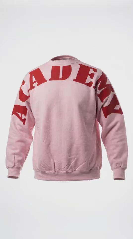 Menta Academy Pride Sweaters